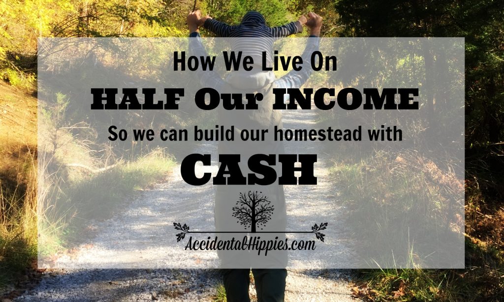 From $24K in debt to debt-free and paying cash to build a house - see how we do it and learn how YOU can do it too - INCLUDES FREE PRINTABLE to get you started!