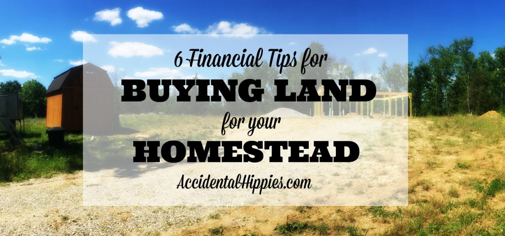 If you're dreaming of one day buying a piece of land to build a house or start a homestead, there is some important financial information you NEED to know before you take the leap from DREAMING to DOING. Don't jeopardize your homestead success because of money -- start off on the right financial foot! #homesteading #smartmoney
