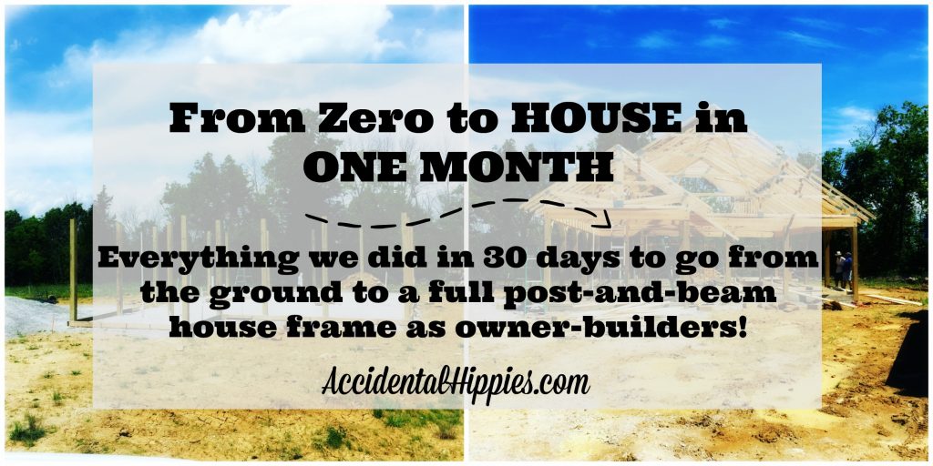 Check out this overview of how one aspiring homestead family built up a full post-and-beam house frame in one month! #diy #house #homestead