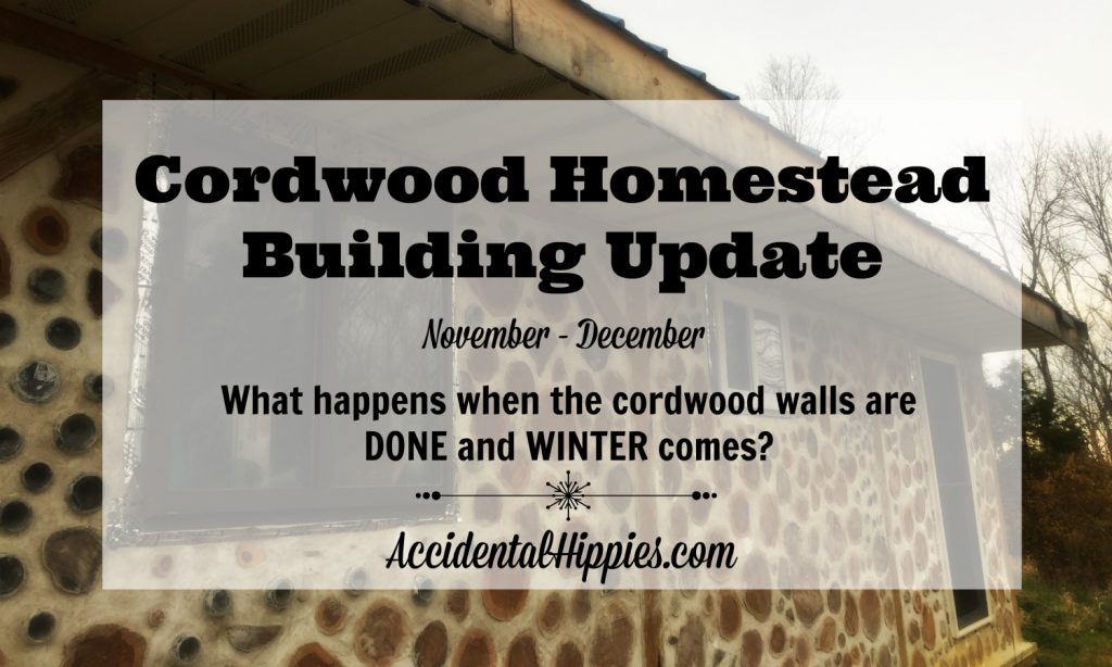 It took us 3 1/2 months to finish our cordwood walls. What are we doing now that they're DONE?