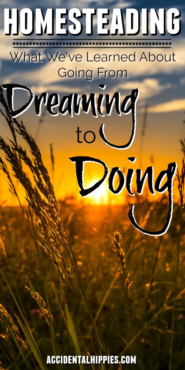 What's holding you back from living the life you want? We've learned a lot in the past four years about taking the plunge from living the life we've been sold to building the homestead we've always wanted. Learn our biggest mindset tips to help you get closer to your goals. #homesteading #homesteadlife #homesteaddreaming #dreamhomestead #mindset #goalsetting