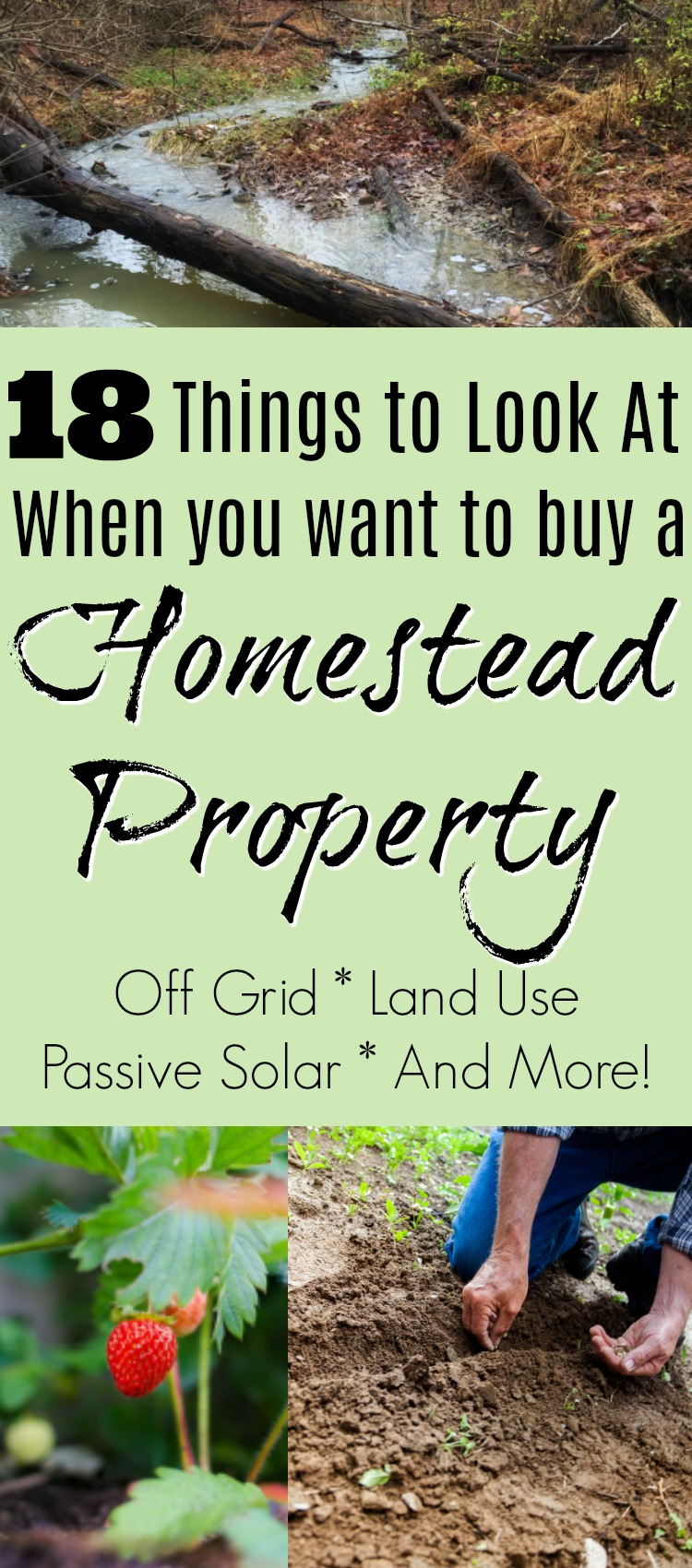 What you need to consider when you look at land for setting up a new homestead #homesteading #buyingland