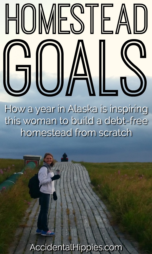 There are many ways to find homestead inspiration. For one of our readers, she found inspiration in her year living and teaching in the Alaskan bush. Here's how one of our readers got inspired to get debt free and make a REAL plan for building a self-sustaining home. #homesteading #selfsufficiency #homeplanning