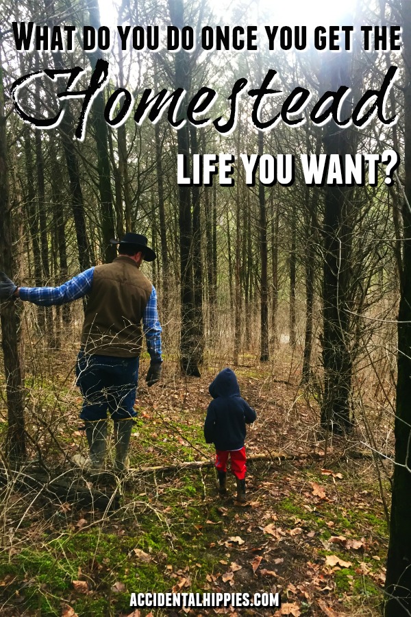 We took 3 years to build a our off-grid homestead from scratch. What are we doing now? That's a loaded question. What would YOU do after getting that homestead life you want? Here's how we're focusing. #selfsufficiency #offthegrid #homesteading