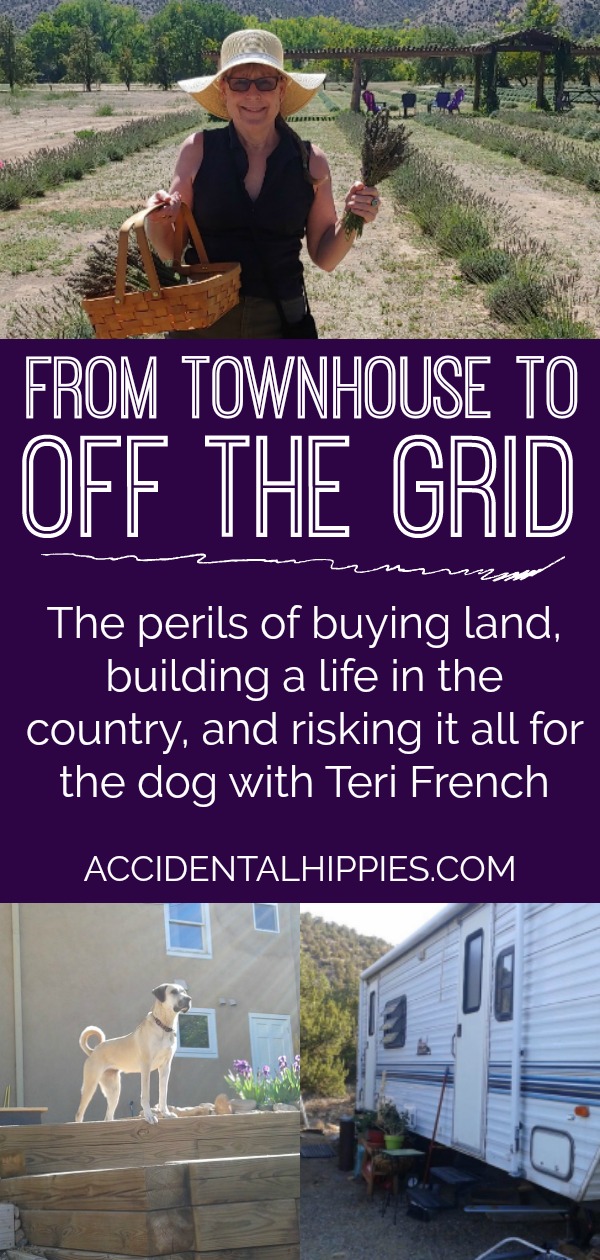 From living in a townhouse to living off-grid in a travel trailer on her own land. What she has to tell you about the pitfalls of buying land and building an ecofriendly net-zero house will astound you!