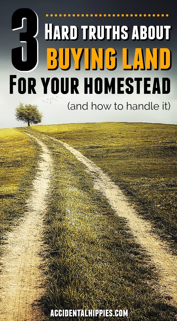 You want to buy land and build your dream homestead. You search the MLS for parcels of land that fit your family's needs, but you keep coming up empty. Or the land you find doesn't have what you want. We bought 16 acres and built a homestead from scratch. These are the three hard truths we learned about the process of buying homesteading land, and what you can do about it. #homesteading #buyingland #howtobuyland